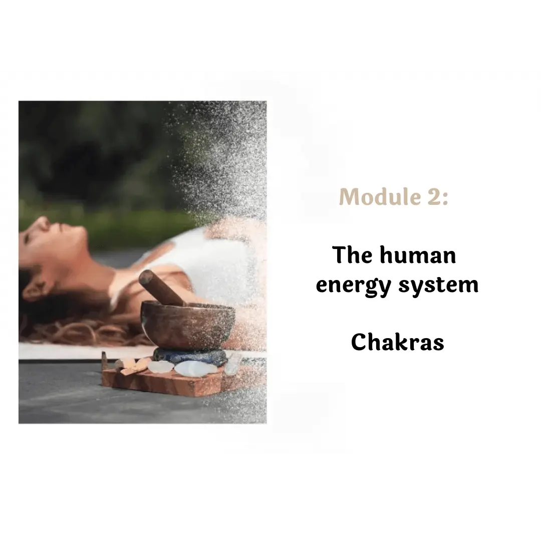 module 2: the human energy system -shamanic self-healing-course