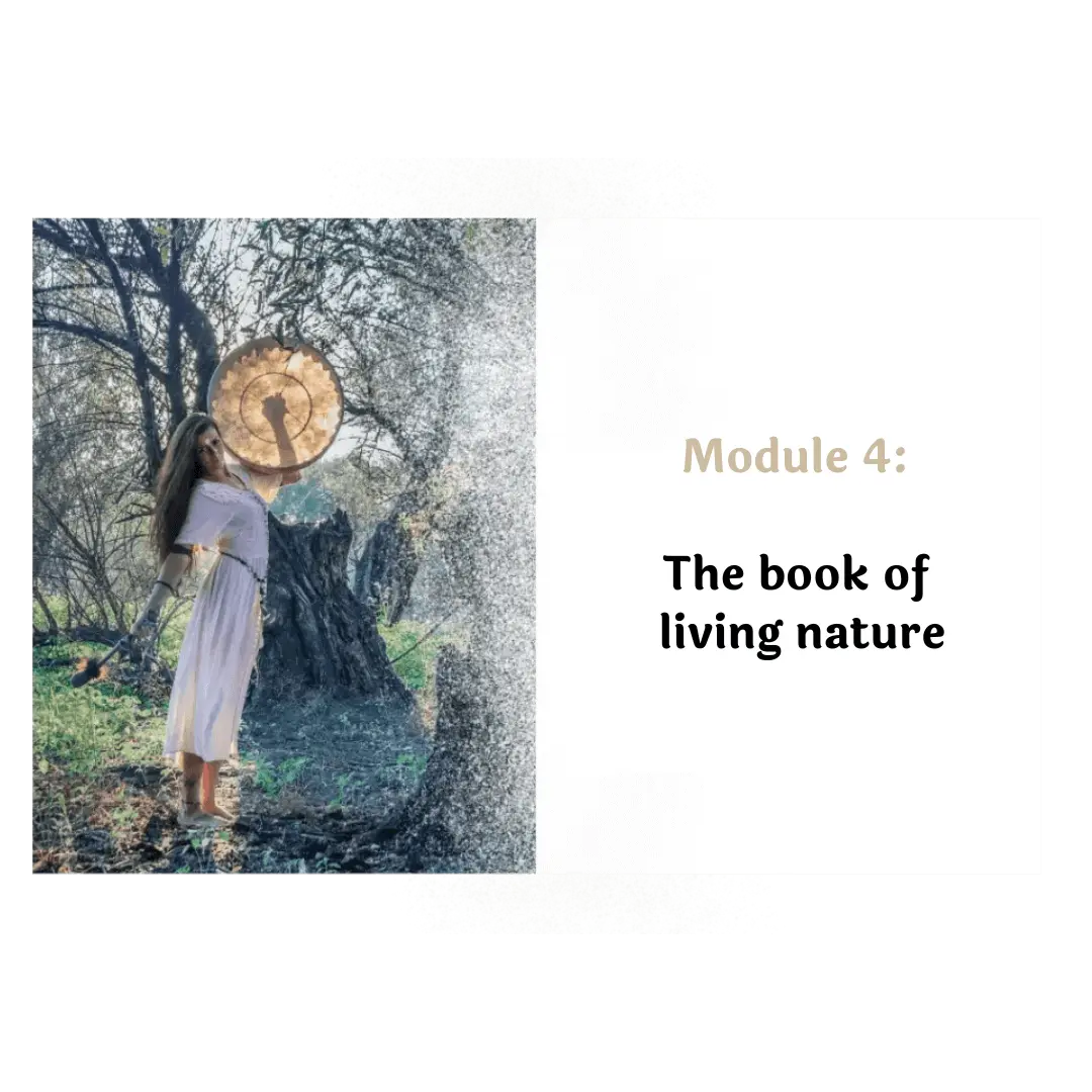 module 4: the book of living nature - shamanic self-healing-course Ralph Riedel